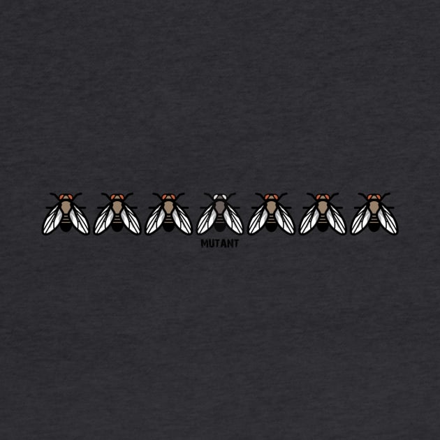 Drosophila Fruit Fly Mutant Genetics Evolution by MoPaws